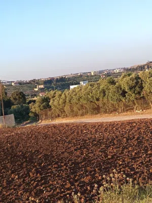 10دنمات ناعور بيت زرعه اجمل احواض ناعور عشارعين