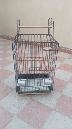 لبيع قفص ببغاء