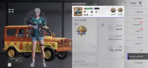 Pubg Accounts and Characters for Sale in Amman