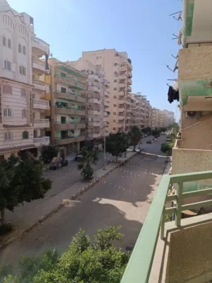 شقه بشاطئ النخيل الاسكندريه  مسجله بجمعية 6 اكتوبر من المالك