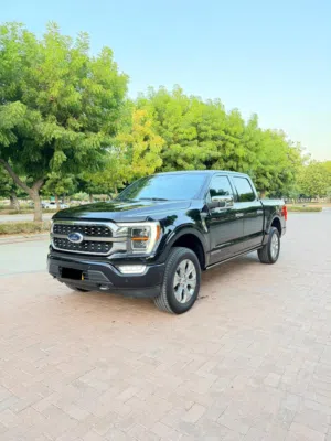 Used Ford F-150 in Muscat