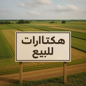 9 هكتار للبيع نهاية شارع الكرتون