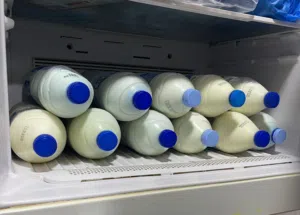 حليب غنم طازج