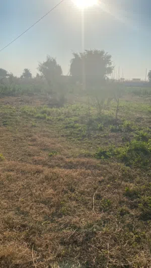 مزرعة للبيع في اليوسفية