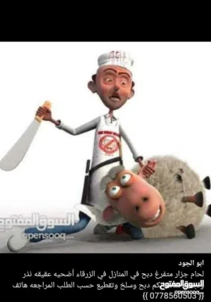 لحام جزار متفرغ دبح جميع انواع الأضاحي في المنازل في الزرقاء