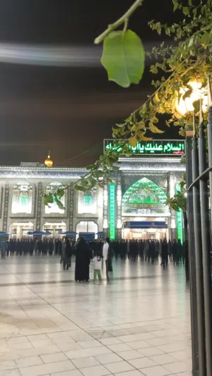محتاج 15 ورقه على كومبيتله عندي عمليه صرطان بكربلا لعنده هيج مكانيه خل يراسلني وتسديد شهري