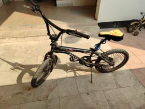 Rally Cycle