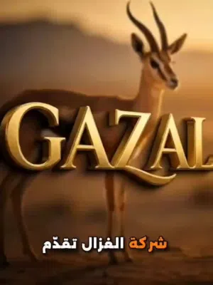 Gazal Receivers for sale in Sharjah