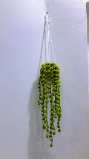 كروشيه عمال يدويه حسب رغبه وانواع ديكوات المنزل