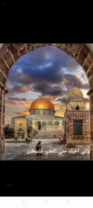 سائده حسن علي 