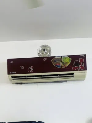 سبلت دنكه ابو طنين
