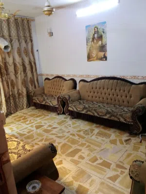 تخم قنفات للبيع
