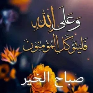 aswar alhana 