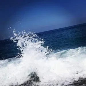 شنابو 