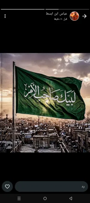 خلفه سيراميك وحجر أرضي وجذاري متفرق حالين