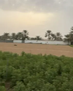 أرض زراعية للبيع بمدينة العين "فرصه لا تعوض "