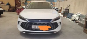 بي واي دي تشين أل