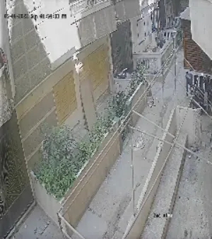 البيطاش شهر العسل خلف نادى القوات المسلحة والبحر وجميع الخدمات ومصنع حديد عز