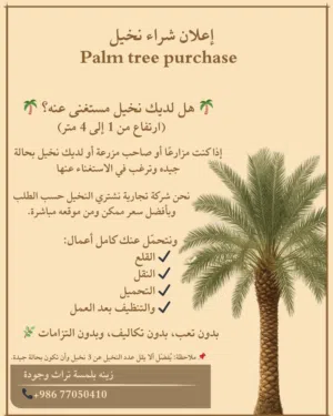 شراء النخيل والفسائل