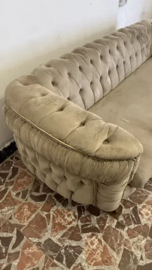 قنفات تركي