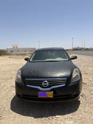 التيما 2008