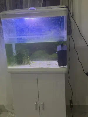 حوض سمك استعمال خفيف