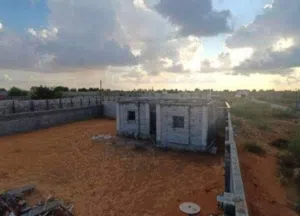 وادي ربيع   القيو...الرض.. النعم