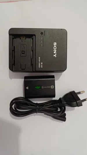 Sony Battery & Charger