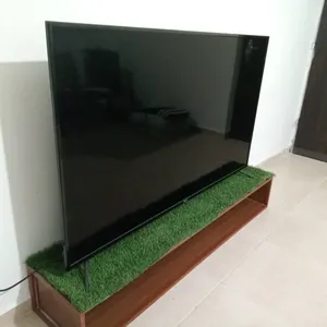 Others . Smart . 65 inch2