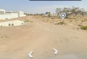 ارضين شبك في العقدة