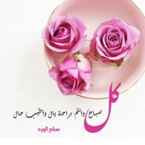 محمد عبد العظيم سعد 