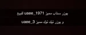 يوزر سناب و تيك مميزين للبيع