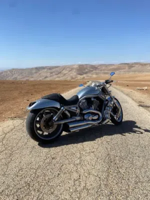 هارلي ديفيدسون VRod 2002 للبيع