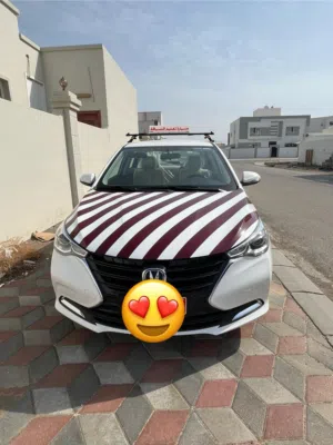 شانجان السفين 2024