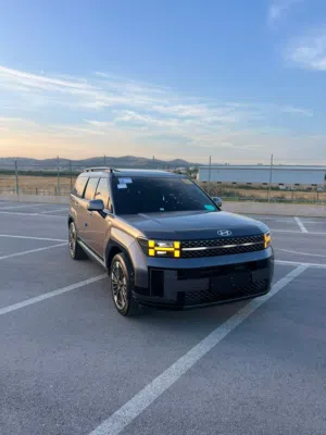 Used Hyundai Santa Fe in Jenin