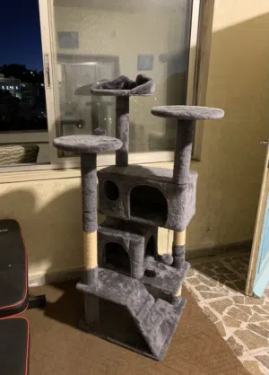بيت قطط - cat house