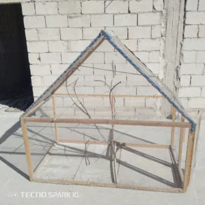 مطير عصافير حجم كبير