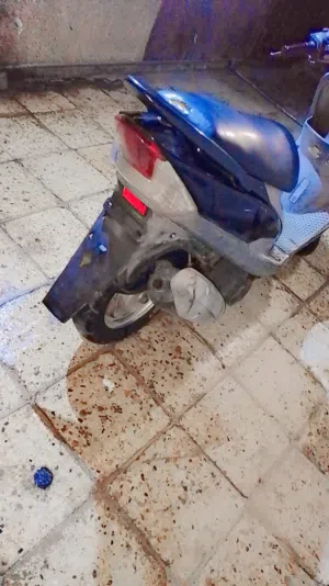 ماكس مغولي بسعر 450