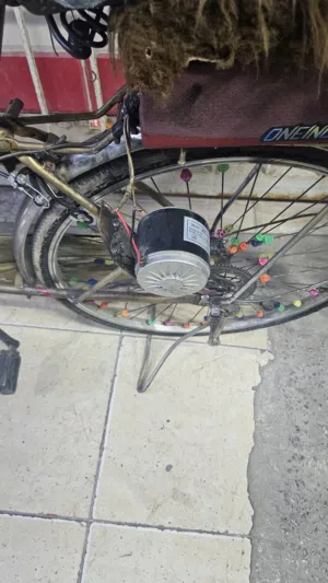 electric by cycle