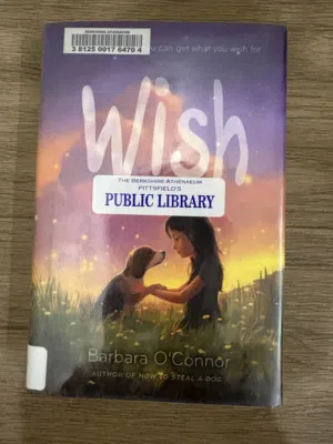 Wish book (hard cover) complete new