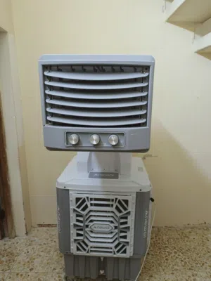 كنفيره نصيفه