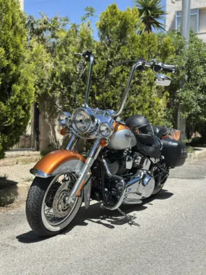 Harley Davidson Softail Deluxe 2014