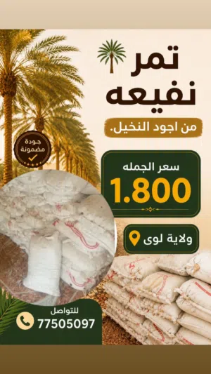 تمر نفيعه بجوده