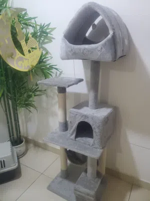 بيت للقطط ممتازه