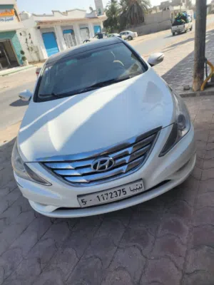 سوناتا بانوراما تحية الله يبارك ملاحظة محلية