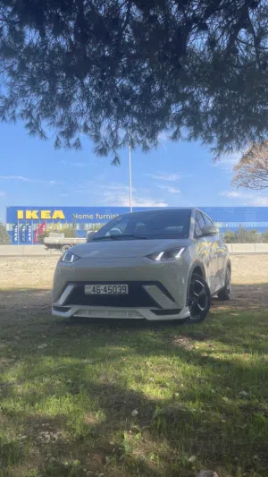 Used BYD Seagull in Amman