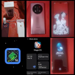 Honor Honor X9c 256 GB in Giza