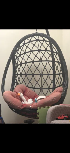 مرجيحة عش العصفور الفاخرة للبيع Luxury Hanging Egg Chair for Sale