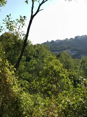 Farm . 1500 m2 . Landlord3