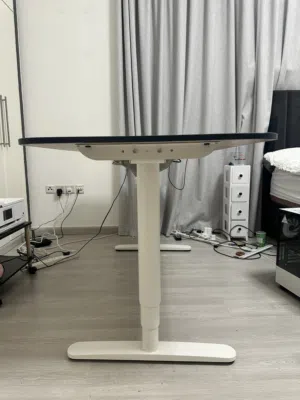 Desk IKEA BEKANT Electric Sit/Stand Desk
